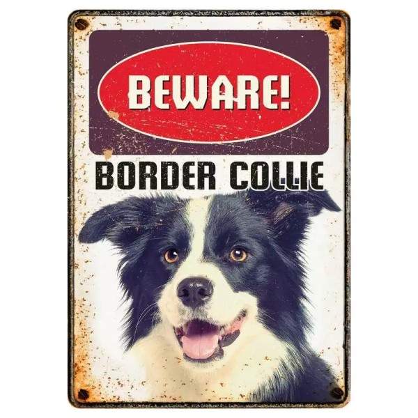 Metallschild "Border Collie"